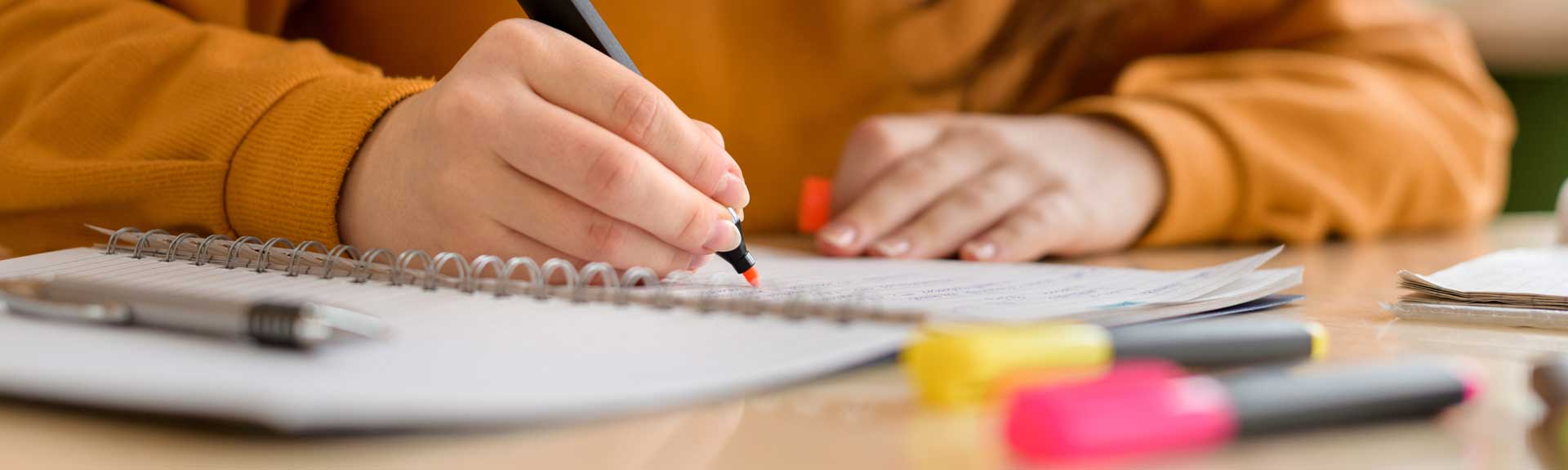 Impressum und Datenschutz der Nachhilfeschule The Squirrels